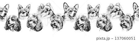 Seamless horizontal border with small dog breed portraits drawn in pencil. Hand drawn black and white chihuahua, pomeranian, yorkshire terrier and poodle heads form decorative repeating trim. Seamless horizontal border with small dog breed portraits drawn in pencil. Hand drawn black and white chihuahua, pomeranian, yorkshire terrier and poodle heads form decorative repeating trim. 137060051