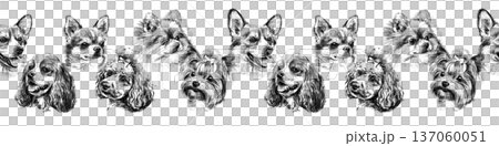 Seamless horizontal border with small dog breed portraits drawn in pencil. Hand drawn black and white chihuahua, pomeranian, yorkshire terrier and poodle heads form decorative repeating trim. Seamless horizontal border with small dog breed portraits drawn in pencil. Hand drawn black and white chihuahua, pomeranian, yorkshire terrier and poodle heads form decorative repeating trim. 137060051
