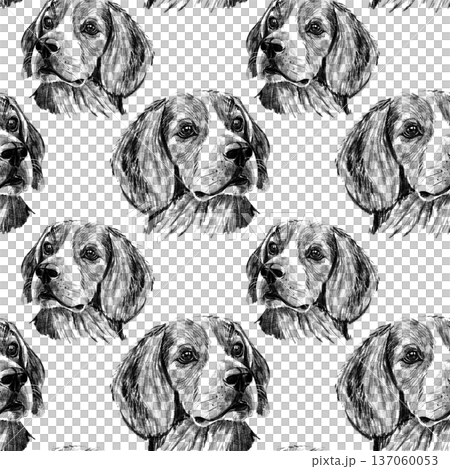 Seamless pattern with hand drawn Beagle dog portraits in pencil style. Black and white repeat design featuring realistic hound faces, ideal for fabric, wallpaper, wrapping paper and pet themed prints 137060053