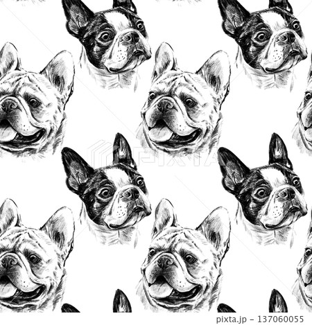 Seamless pattern of hand drawn pencil dog breeds including French Bulldog, Boston Terrier, English Bulldog and Pug. Detailed realistic graphite sketch illustration on white background repeat. 137060055