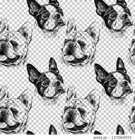 Seamless pattern of hand drawn pencil dog breeds including French Bulldog, Boston Terrier, English Bulldog and Pug. Detailed realistic graphite sketch illustration on white background repeat. Seamless pattern of hand drawn pencil dog breeds including French Bulldog, Boston Terrier, English Bulldog and Pug. Detailed realistic graphite sketch illustration on white background repeat. 137060055