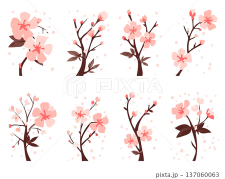桜 イラスト素材集 手書き風 おしゃれモダン 春の装飾デザインセット 137060063