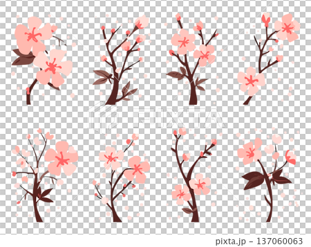 Cherry Blossom Illustration Collection Hand-drawn Stylish Modern Spring Decoration Design Set 137060063