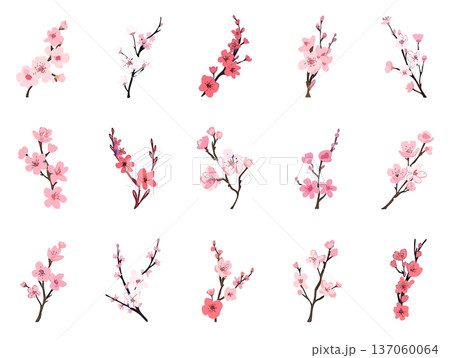 桜 イラスト素材集 手書き風 おしゃれモダン 春の装飾デザインセット 137060064