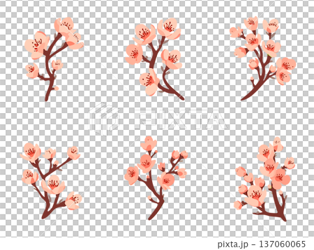Cherry Blossom Illustration Collection Hand-drawn Stylish Modern Spring Decoration Design Set 137060065