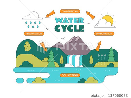 Water Cycle Vector Illustration Featuring Evaporation, Condensation, Precipitation, And Collection In Earth's Natural Environment Background 137060088