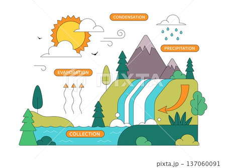 Water Cycle Vector Illustration Featuring Evaporation, Condensation, Precipitation, And Collection In Earth's Natural Environment Background Water Cycle Vector Illustration Featuring Evaporation, Condensation, Precipitation, And Collection In Earth's Natural Environment Background 137060091