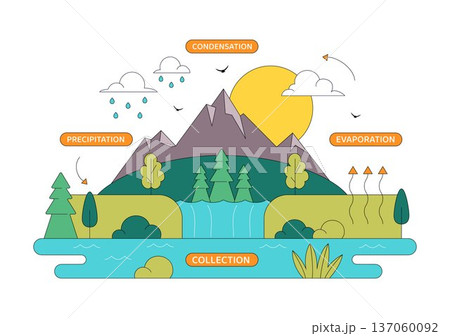 Water Cycle Vector Illustration Featuring Evaporation, Condensation, Precipitation, And Collection In Earth's Natural Environment Background Water Cycle Vector Illustration Featuring Evaporation, Condensation, Precipitation, And Collection In Earth's Natural Environment Background 137060092