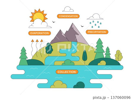 Water Cycle Vector Illustration Featuring Evaporation, Condensation, Precipitation, And Collection In Earth's Natural Environment Background Water Cycle Vector Illustration Featuring Evaporation, Condensation, Precipitation, And Collection In Earth's Natural Environment Background 137060096