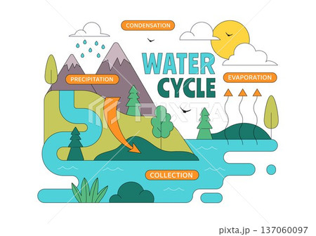 Water Cycle Vector Illustration Featuring Evaporation, Condensation, Precipitation, And Collection In Earth's Natural Environment Background 137060097