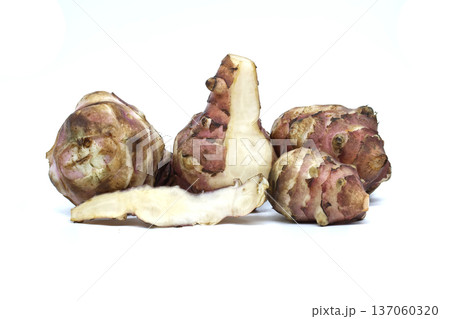 Jerusalem Artichokes , Sunchokes, Fresh Tubers on White Studio Background 137060320