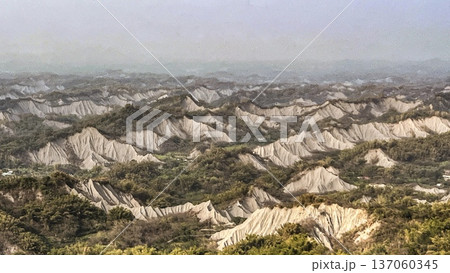 台湾・台南草山月世界の泥岩地形風景 137060345