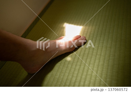 足の指に毛が生えている男性 137060572