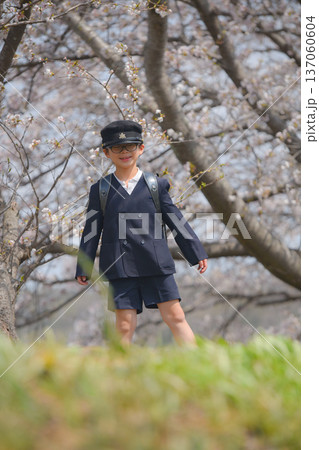 小学生、通学路、男の子 小学生、通学路、男の子 137060604