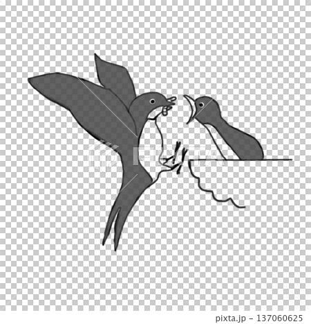 燕子餵雛鳥的插圖 137060625