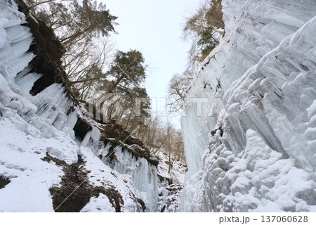 長野県南牧村、湯川渓谷の氷柱群 長野県南牧村、湯川渓谷の氷柱群 137060628