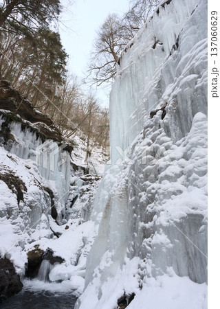 長野県南牧村、湯川渓谷の氷柱群 137060629