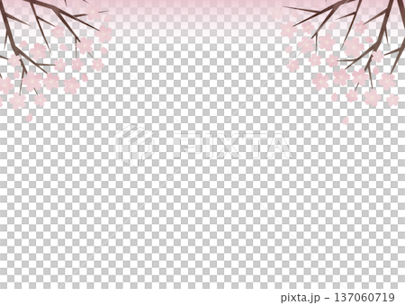櫻花漸層背景設計，適用於儀式和入場儀式 137060719