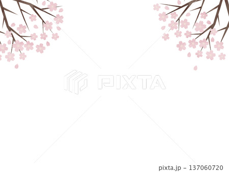 企業春キャンペーン向け桜背景素材・横長レイアウト対応 137060720