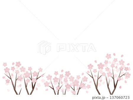 企業広報・公式告知向けミニマル桜背景素材 137060723