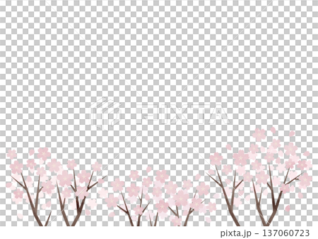 企業広報・公式告知向けミニマル桜背景素材 137060723