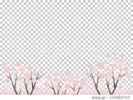 学校行事・式次第デザイン向け桜並木風背景素材 137060724