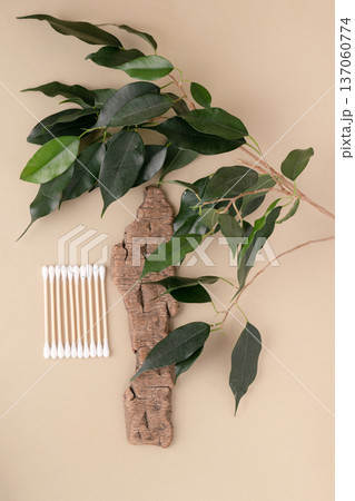Bamboo swabs made from eco-friendly cotton, arranged in a row with a tree branch and green leaves, symbolize eco-friendly hygiene products and nature. Green living, using natural materials 137060774