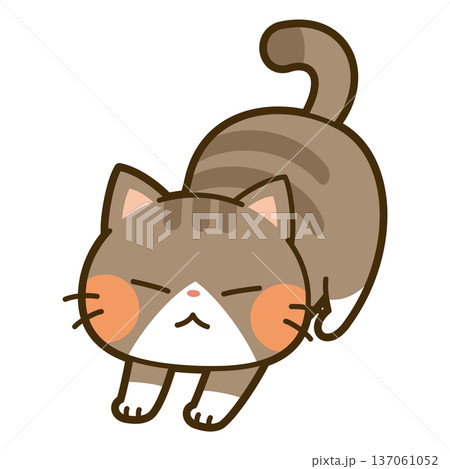 伸びをする猫 137061052