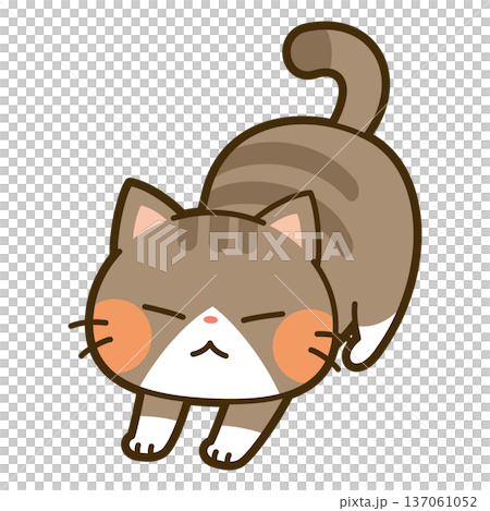 伸びをする猫 137061052