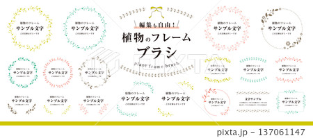編集も自由！ 植物のフレームブラシ（ボタニカル、タイトル、飾り、装飾、枠、素材セット）カラー 137061147