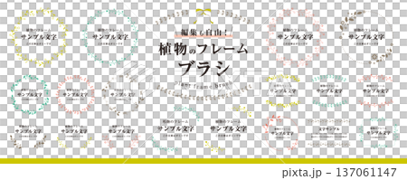 編集も自由！ 植物のフレームブラシ（ボタニカル、タイトル、飾り、装飾、枠、素材セット）カラー 137061147