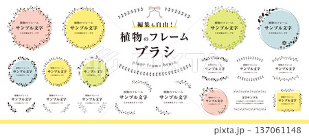 編集も自由！ 植物のフレームブラシ（ボタニカル、タイトル、飾り、装飾、枠、素材セット）カラー 137061148