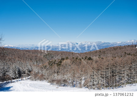 入笠山の登山道から見る蓼科山方面の景色 入笠山の登山道から見る蓼科山方面の景色 137061232