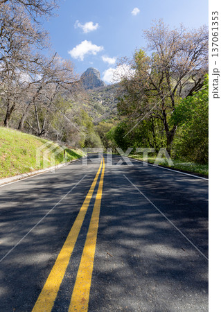 Yellow road marking in US national park 137061353