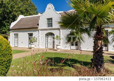 Winery mansion surrounded by greenery in South Africa Winery mansion surrounded by greenery in South Africa 137061413