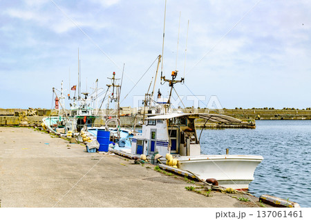 オロロンの島 焼尻島(やぎしりとう)を行く 137061461