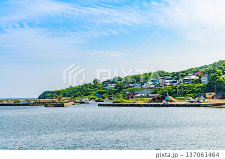 オロロンの島 焼尻島(やぎしりとう)を行く オロロンの島 焼尻島(やぎしりとう)を行く 137061464