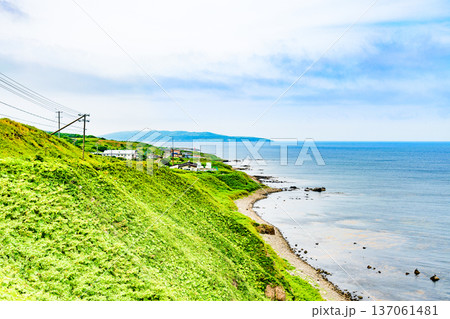 オロロンの島 焼尻島(やぎしりとう)を行く オロロンの島 焼尻島(やぎしりとう)を行く 137061481