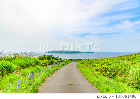 オロロンの島 焼尻島(やぎしりとう)を行く 137061486