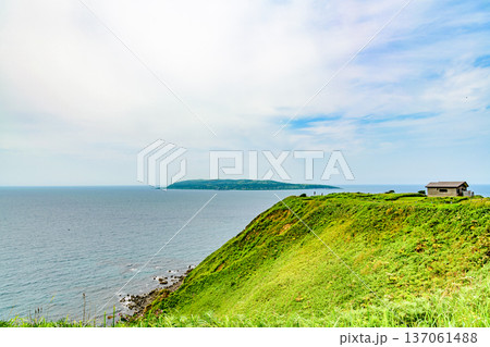オロロンの島 焼尻島(やぎしりとう)を行く 137061488