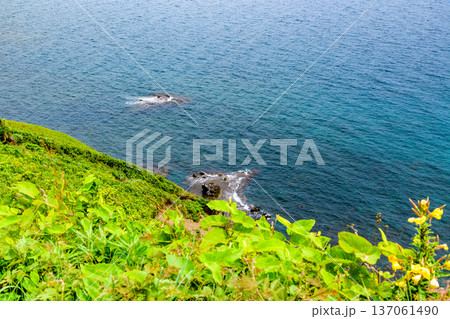 オロロンの島 焼尻島(やぎしりとう)を行く 137061490
