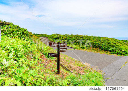 オロロンの島 焼尻島(やぎしりとう)を行く 137061494
