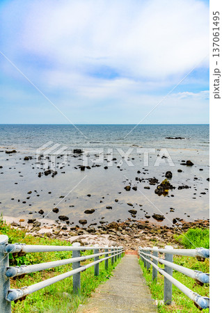 オロロンの島 焼尻島(やぎしりとう)を行く オロロンの島 焼尻島(やぎしりとう)を行く 137061495