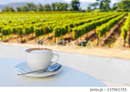 Morning coffee with vineyard view Morning coffee with vineyard view 137061785