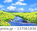菜の花畑の風景 137061836