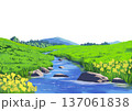 草原と小川の風景 137061838