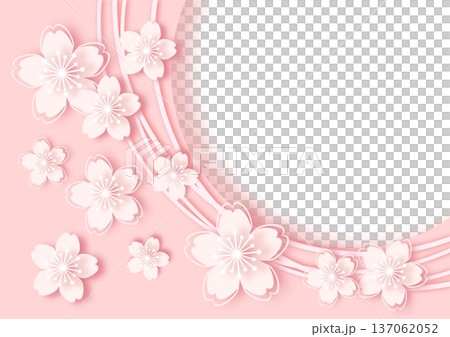桜の花の背景 桜の花の背景 137062052