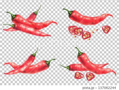 Watercolor red hot chili pepper, whole and cut pods round sliced with seeds. Spicy vegetable food spices set. Hand drawn illustration on isolated white background for sauces label, menu, recipes. Watercolor red hot chili pepper, whole and cut pods round sliced with seeds. Spicy vegetable food spices set. Hand drawn illustration on isolated white background for sauces label, menu, recipes. 137062244