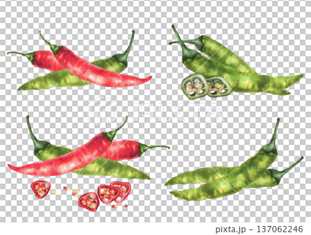 Watercolor hot chilli pepper set. Green and red whole vegetables pods. Hand drawn illustrations fresh organic cayenne peppers spice for food. Illustration for menu, label on Isolated white background 137062246
