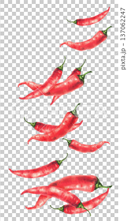 Hot chili peppers red pods flying in motion. Hand painted watercolor illustration isolated on white background. Dynamic spicy food clipart for packaging, spice labels, menu, cookbook of Asian recipes. 137062247